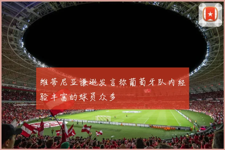 维蒂尼亚谦逊发言称葡萄牙队内经验丰富的球员众多